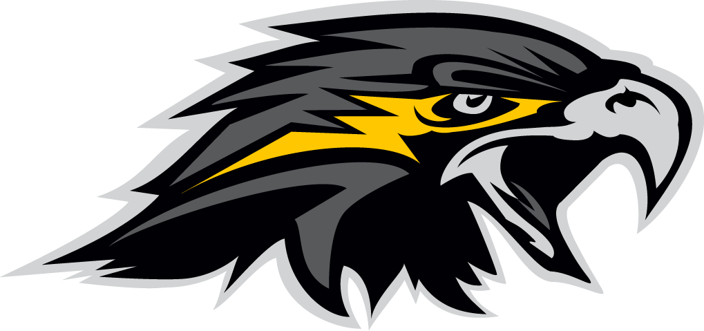 Wichita Falls Nighthawks 2015-Pres Secondary Logo v2 iron on transfers for T-shirts
